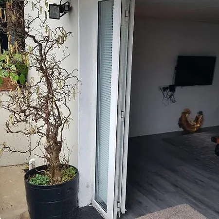 Owl Apartment