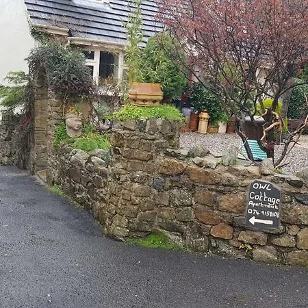 Owl * Rathmullan